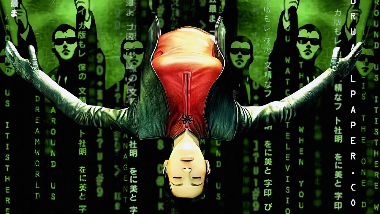 Capa de The Animatrix