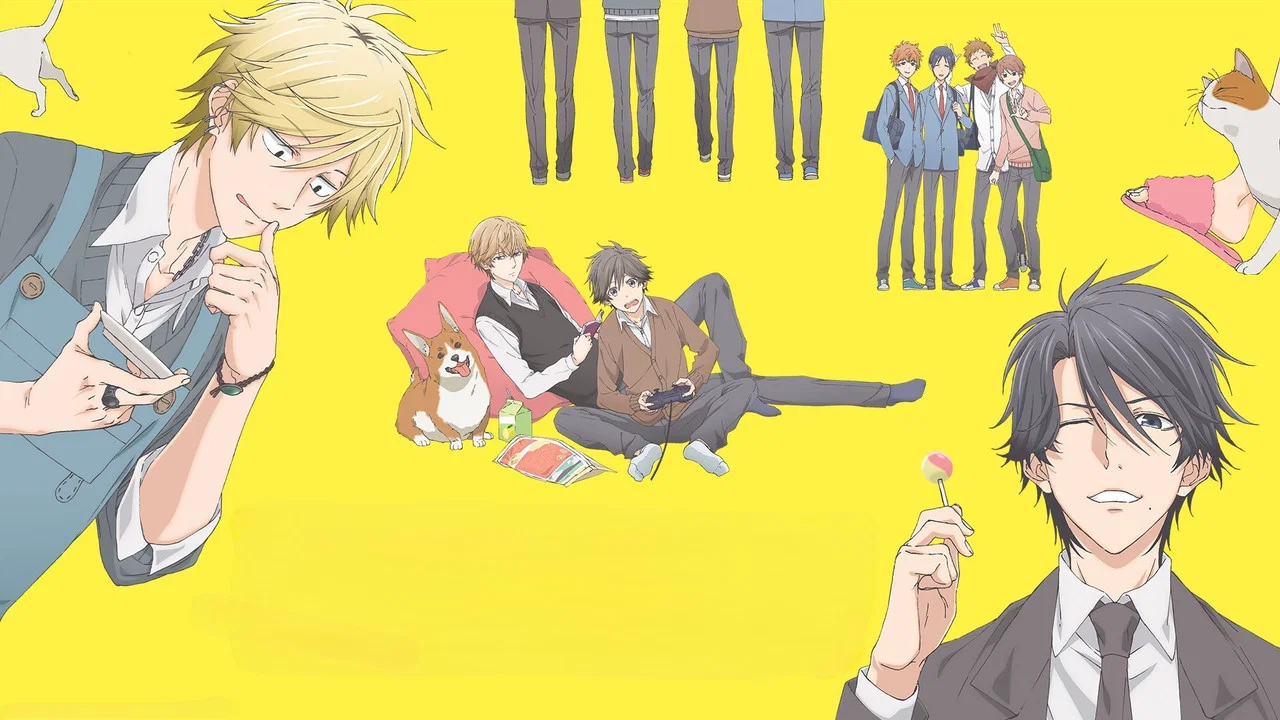 Capa de Hitorijime My Hero