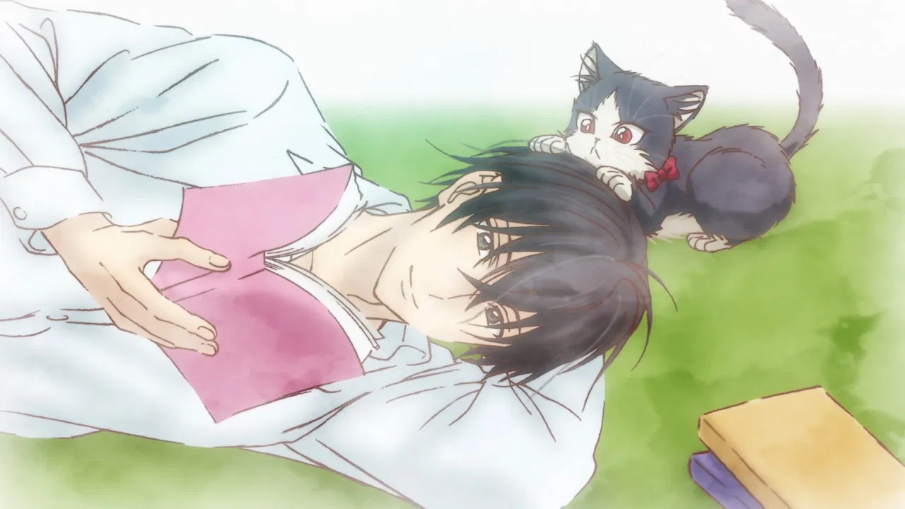 Capa de My Roommate is a Cat