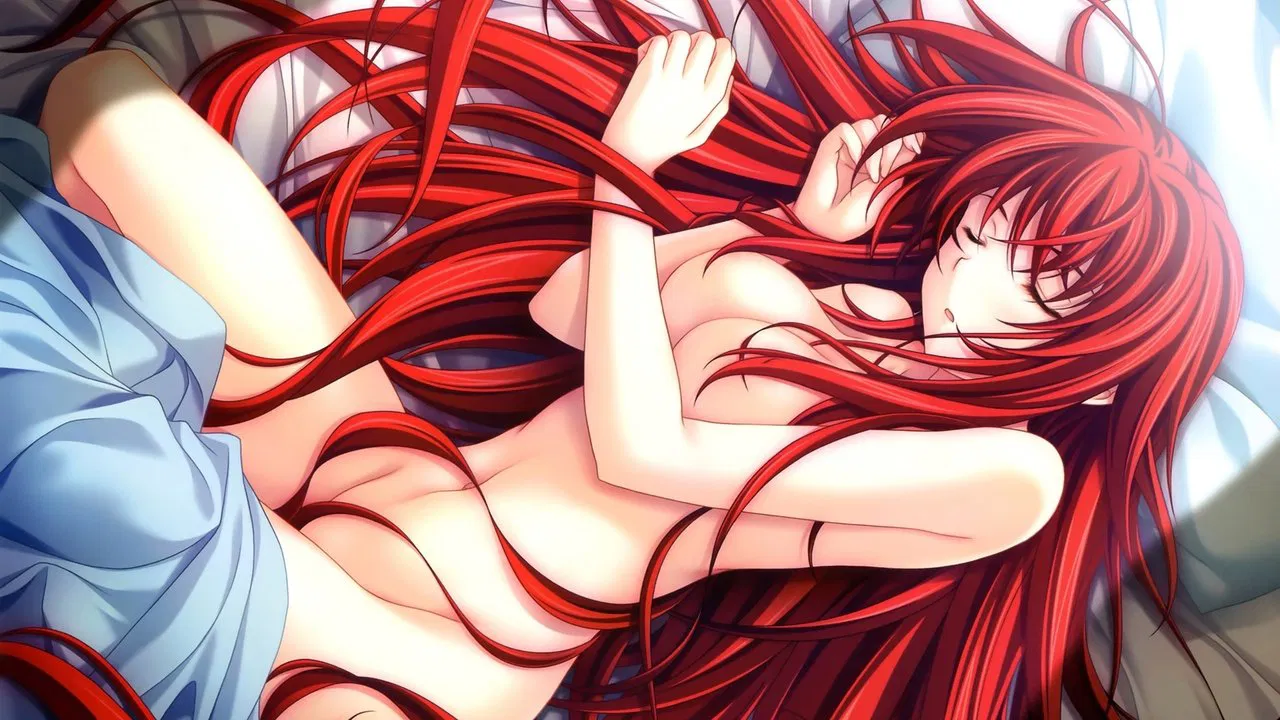 Capa de High School DxD