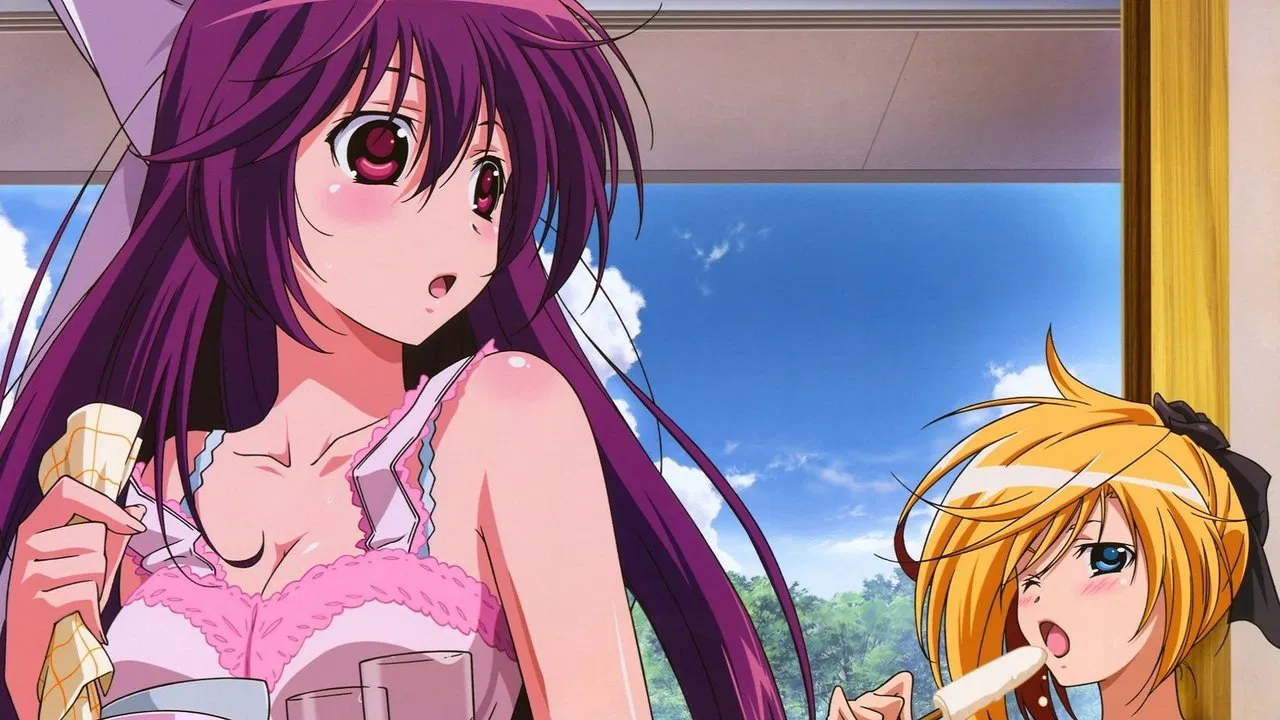 Capa de Samurai Harem